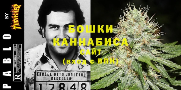 mix Белокуриха