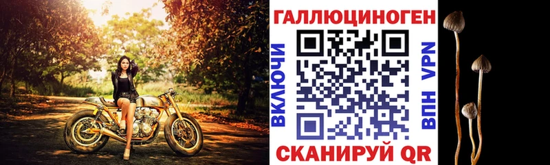 площадка как зайти  где купить   Коммунар  Галлюциногенные грибы мухоморы 